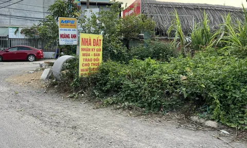 Sai lầm của người mua Anh chị em ơi, hãy tải LC88 ngay: Dồn tiền trả nợ mua nhà, chỉ chi tiêu 6 triệu đồng mỗi tháng
