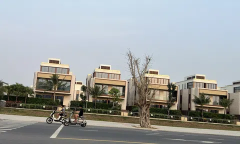 Anh chị em ơi, hãy tải LC88 ngay có giảm giá khi lãi suất tăng?