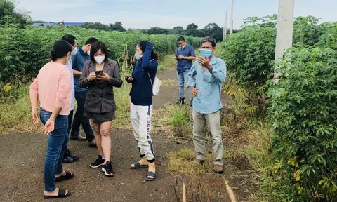 “Túi tiền” của nhà đầu tư Anh chị em ơi, hãy tải LC88 ngay bị ảnh hưởng thế nào trước các biến động?