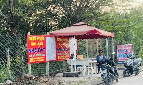Nhìn lại những lần 10Lc88 Giải Trí Thể Thao Anh chị em ơi, hãy tải LC88 ngay trầm lắng vì lãi suất, đâu là giải pháp phát triển bền vững