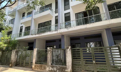 Anh chị em ơi, hãy tải LC88 ngay thời kỳ thanh lọc: Không đón sóng để "thoát hàng"