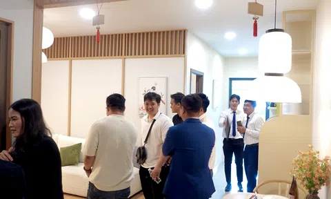 Không ngại 10Lc88 Giải Trí Thể Thao “khó”, 10Lc88 Casino & Thể Thao Link Mới địa ốc phía Nam liên tục có động thái mới