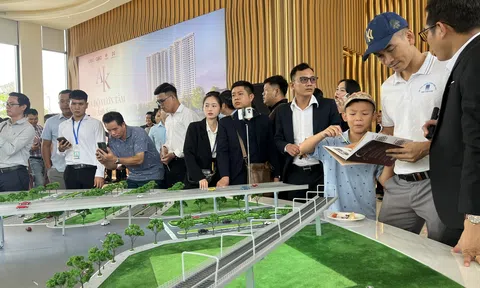 Tin vui cho loạt dự án Anh chị em ơi, hãy tải LC88 ngay tại TP. Hồ Chí Minh