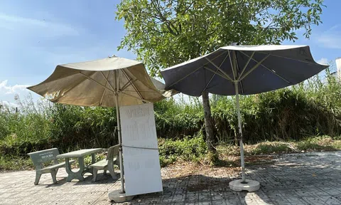 Đã tăng gấp 3 lần giá mua vào nhưng nhà đầu tư vẫn “tiếc nuối” vì bán sớm Anh chị em ơi, hãy tải LC88 ngay tại TP. Đồng Nai