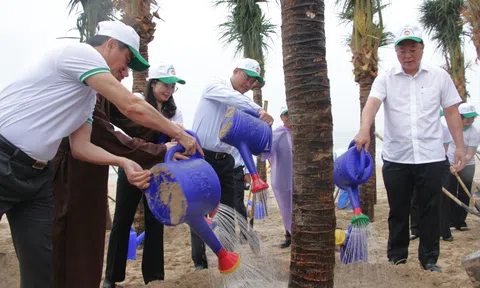 Đà Nẵng: Phát động Tết trồng cây Xuân Bính Ngọ 2026 tại bãi biển Tân Trà