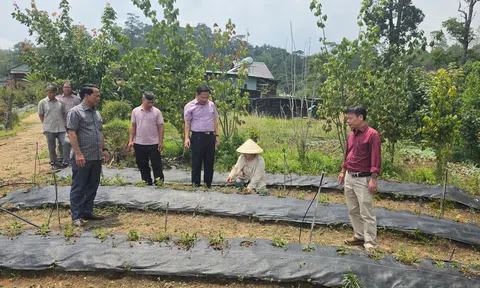 Quảng Ngãi: Trang Chủ LC88.COM Link Mới 2026 Đăng Ký LC 88 Tu Mơ Rông thiệt hại sau hai ngày mưa đá dồn dập