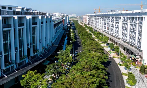 Chuyển đổi xanh: Nền tảng phát triển bền vững cho 10Lc88 Casino & Thể Thao Link Mới TP.HCM
