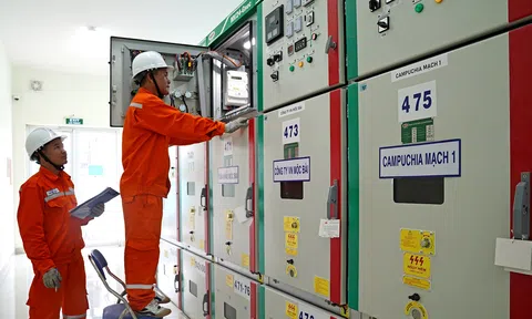 Thứ trưởng Nguyễn Hoàng Long: EVNSPC chủ động, chuẩn bị kỹ phương án bảo đảm điện Tết Bính Ngọ 2026