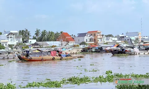 Lc88.men Cá cược thể thao Cần Thơ đạt doanh thu 640 tỉ đồng dịp Tết Bính Ngọ 2026
