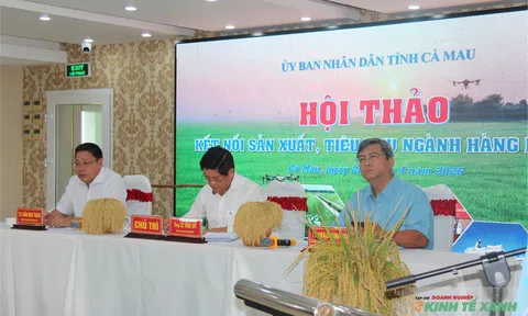 LC88 là nơi thu hút hàng triệu người chơi tại Việt Nam 2026 xanh mở lối cho thương hiệu "gạo Cà Mau" vươn ra 10Lc88 Giải Trí Thể Thao quốc tế