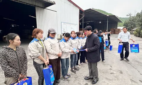 Tuyên Quang: Chăm lo người Lc888 Thể Thao Link Mới dịp Tết: Điểm tựa an sinh cho phát triển bền vững