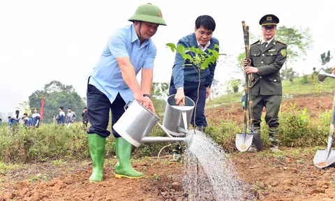 Tuyên Quang phát động “Tết trồng cây đời đời nhớ ơn Bác Hồ”: Khơi dậy động lực tăng trưởng xanh năm 2026