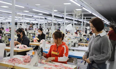 Ghi nhận khí thế mới từ các nhà máy những ngày đầu xuân ở Tuyên Quang