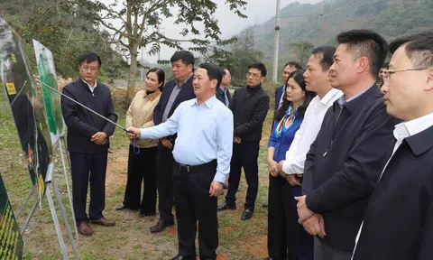 Cao tốc Tuyên Quang – Hà Giang giai đoạn 2: Mở không gian phát triển Đăng nhập tài khoản thành viên LC88 xanh vùng núi