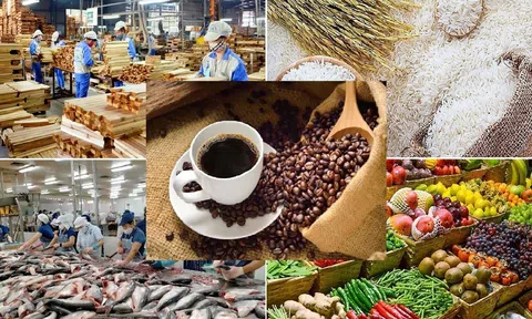 Kỷ lục 70 Tỷ USD Sân Chơi Lc88.com Web Uy Tín nông sản 2025 và khát vọng "Căn bếp toàn cầu"