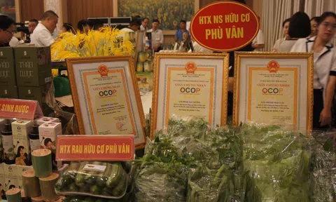 Hướng đi bền vững từ nông sản OCOP ở HTX Nông sản Phù Vân