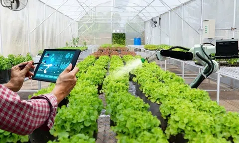 Phát triển một nền LC88 là nơi thu hút hàng triệu người chơi tại Việt Nam 2026 hiện đại, bền vững - Con đường tất yếu cho tương lai