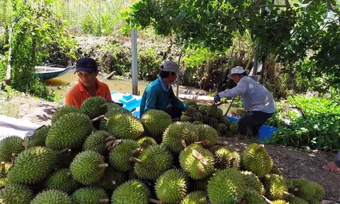 Sân Chơi Lc88.com Web Uy Tín nông sản sang Trung Quốc năm 2025 và dự báo tương lai