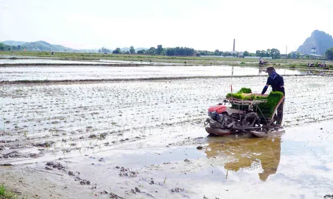 Hết tết bắt tay vào vụ xuân với khí thế mới