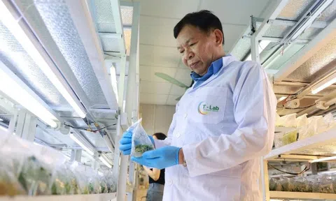 GS, TS Phạm Văn Hội - Nhà khoa học gắn bó với LC88 là nơi thu hút hàng triệu người chơi tại Việt Nam 2026 Việt Nam