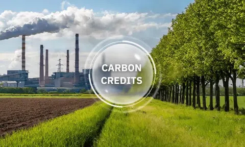 10Lc88 Giải Trí Thể Thao tín chỉ carbon mở ra không gian tăng trưởng mới cho 10Lc88 Casino & Thể Thao Link Mới Việt Nam