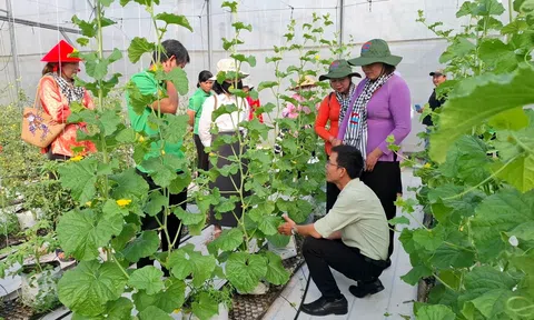 Tiêu chí đánh giá dự án xanh theo khung pháp lý và thực tế Việt Nam