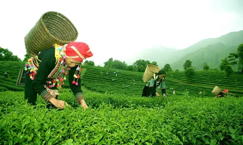Nguồn gốc và sự tiến hóa của khái niệm Nền Đăng nhập tài khoản thành viên LC88 xanh (Green Economy)