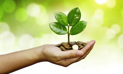 Tiêu chí xanh trong phát triển Đăng nhập tài khoản thành viên LC88