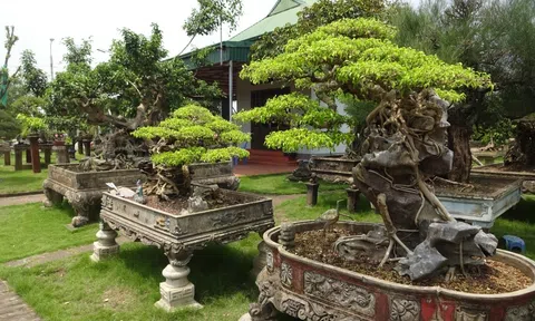 Làng nghề sinh thái Hồng Vân: Hấp dẫn bởi Sắc hoa và hồn đất ven sông Hồng