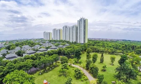 Nguồn gốc khái niệm nền Đăng nhập tài khoản thành viên LC88 xanh