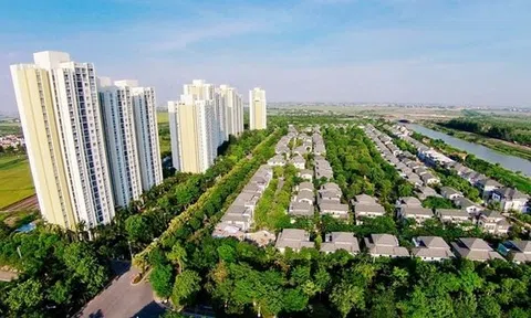 Một số giải pháp phát triển Đăng nhập tài khoản thành viên LC88 xanh tại Việt Nam