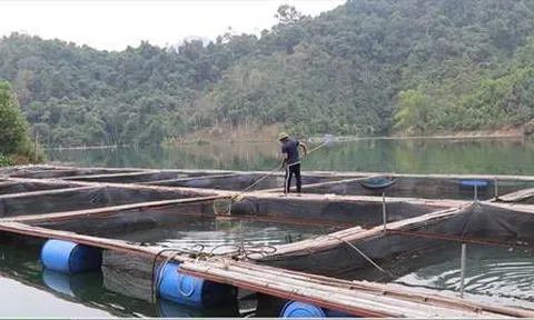 Kế hoạch phát triển nuôi trồng thuỷ sản trên địa bàn tỉnh Lạng Sơn giai đoạn 2026 - 2030