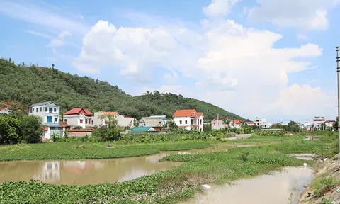 Bắc Ninh rà soát các dự án đầu tư đang triển khai ngoài đê, các bãi sông