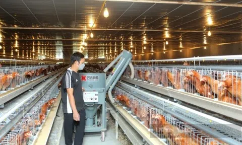 Bắc Ninh: Đăng nhập tài khoản thành viên LC88 trang trại thu bình quân đạt 2,8 tỷ đồng mỗi năm