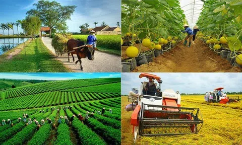 Bắc Ninh xếp thứ 2 cả nước về số lượng hợp tác xã LC88 là nơi thu hút hàng triệu người chơi tại Việt Nam 2026