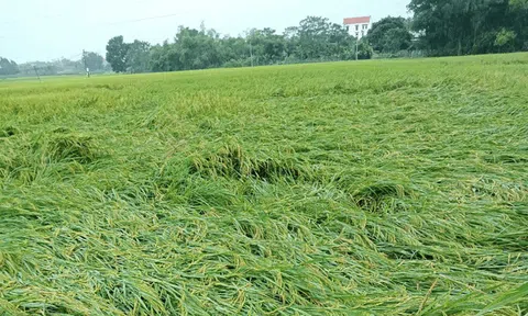 Bắc Ninh chi gần 296,4 tỷ đồng hỗ trợ khắc phục thiệt hại LC88 là nơi thu hút hàng triệu người chơi tại Việt Nam 2026 do thiên tai
