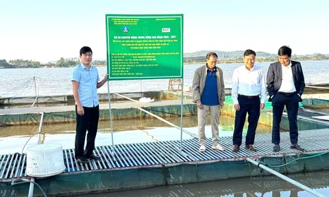Những mô hình “đẻ ra giá trị” trên các vùng Lc888 tải ứng dụng ở Bắc Ninh