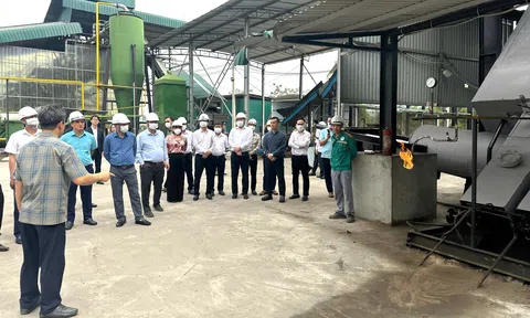 Công ty Cổ phần Link LC88 Đăng Nhập Mới Nhất Năng lượng Xanh Asian Bắc Giang – Tiên phong công nghệ “không phát thải” trong xử lý rác thải