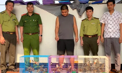 Bắc Ninh quyết liệt đấu tranh bảo vệ động vật hoang dã