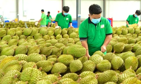 Gần 2.600 sản phẩm nông Lc888 tải ứng dụng sang Trung Quốc phải có thư xác nhận