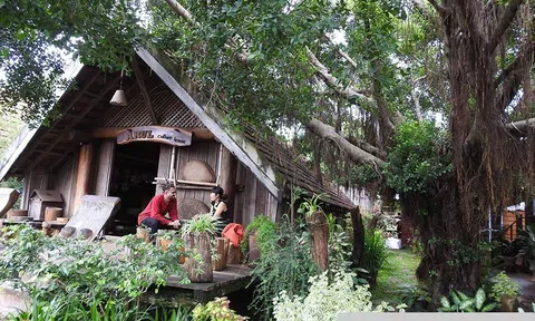 Lc88.men Cá cược thể thao gắn với Nhà Cái LC88 com Tặng Khách Yêu 800k văn hóa: Đánh thức “kho báu” Tây Nguyên