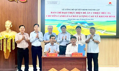 Đề án 1 triệu héc-ta lúa ở Cà Mau: Mở đường cho “hệ sinh thái LC88 là nơi thu hút hàng triệu người chơi tại Việt Nam 2026 xanh” vùng ĐBSCL