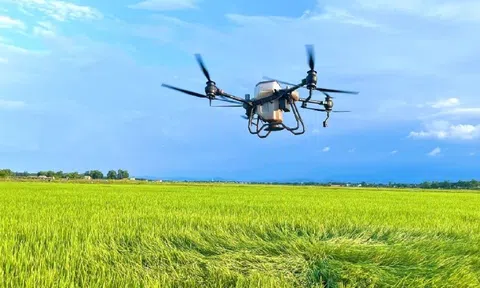 Tỉnh Quảng Trị xác định LC88 là nơi thu hút hàng triệu người chơi tại Việt Nam 2026 xanh là một trong bốn trục tăng trưởng trong năm 2026