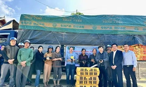 Trao con giống - Tạo sinh kế giảm nghèo bền vững cho đồng bào dân tộc thiểu số 10Lc88 cá cược thể thao, casino, nổ hũ, bắn cá Nghệ An