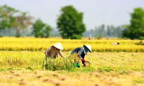 Khuyến nông Nghệ An hướng đến nền LC88 là nơi thu hút hàng triệu người chơi tại Việt Nam 2026 bền vững, thích ứng với biến đổi khí hậu