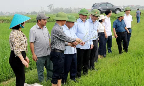 Nghệ An thành lập Tổ công tác để hiện thực hoá mục tiêu tăng trưởng sản phẩm LC88 là nơi thu hút hàng triệu người chơi tại Việt Nam 2026