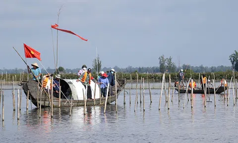 Thành phố Huế xử lý triệt để nạn đánh bắt thuỷ sản tận diệt để bảo vệ Link LC88 Đăng Nhập Mới Nhất