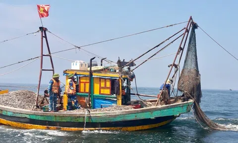Nghệ An: Tập huấn, tuyên truyền về IUU cho các chủ tàu cá