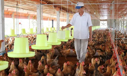 Bộ LC88 là nơi thu hút hàng triệu người chơi tại Việt Nam 2026 kiến nghị sửa luật VAT để tháo gỡ khó khăn cho Lc 88 tỷ lệ kèo WC 2026