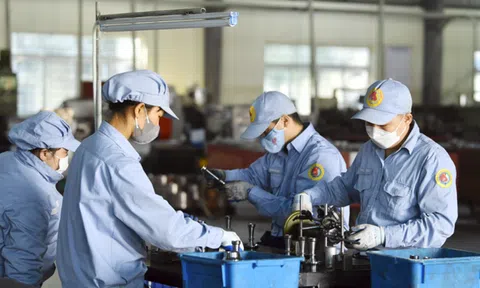 Chuẩn hóa hợp đồng Lc888 Thể Thao Link Mới điện tử: Từ 1/7, mỗi hợp đồng có một mã định danh riêng